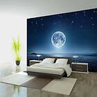 Arkiio Fototapet Moonlit Night