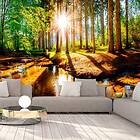 Arkiio Fototapet Marvelous Forest