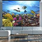 Arkiio Fototapet Coral Reef