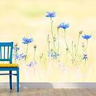 Arkiio Fototapet Cornflowers
