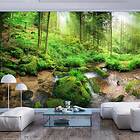 Arkiio Fototapet Humid Forest