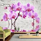 Arkiio Fototapet Purple Delight
