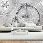 Arkiio Fototapet Vintage Bicycles Black And White