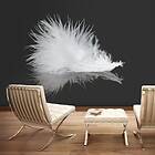 Arkiio Fototapet White Feather