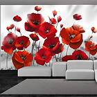 Arkiio Fototapet Poppies In The Moonlight