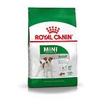 Royal Canin MINI Adult 2kg