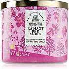 Bath & Body Works Radiant Red Maple doftljus 411g