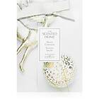 Ashleigh & Burwood London The Scented Home White Christmas wardrobe air freshener 20g