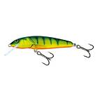 Salmo Lure Minnow 6S 6cm/6g/1,0-1,5m PH