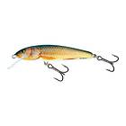 Salmo Lure Minnow 6F 6cm/4g/0,5-1,0m RR