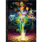 Starman Journal (inbunden, eng)