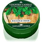 Country Candle Balsam & Cedar värmeljus 42g