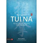 The Practice of Tui Na (häftad, eng)
