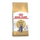 Royal Canin British Shorthair Adult 400g