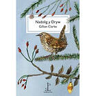 Nadolig y Dryw (The Christmas Wren) (häftad, eng)