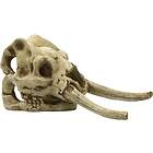 4FISH Skull 23,5x12.1x11.8 cm