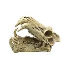 4FISH Skull 20x11x13 cm