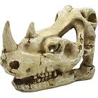 4FISH Skull cm 16X9.5X10.7
