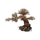4FISH Peaceful Bonsai 40X20x30 Cm