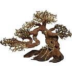 4FISH Bonsai tree roots 15x8x10 cm