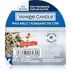 Yankee Candle North Pole Hideaway vaxsmältning 22g