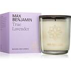 Max Benjamin Ljus med Trälock 210g, True Lavender