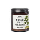 Aery Botanical Bonsai Tree 140g