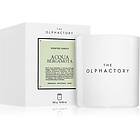 Ambientair The Olphactory White Insignia Acqua Bergamota 310g