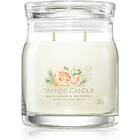 Yankee Candle White Spruce & Grapefruit 368g