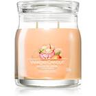 Yankee Candle Mango Ice Cream Signatur 368g