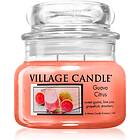 Village Candle Guava Citrus 262g