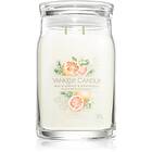 Yankee Candle White Spruce & Grapefruit 567g