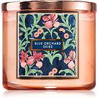 Bath & Body Works Blue Orchard Skies 411g