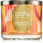 Bath & Body Works Calypso Clementine 411g