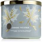 Bath & Body Works Cuddle Weather 411 st.