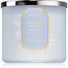 Bath & Body Works Eucalyptus Snowfall 411g