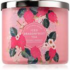 Bath & Body Works Iced Dragonfruit Tea 411g