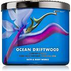 Bath & Body Works Ocean Driftwood 411g