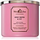 Bath & Body Works Rose Water Ivy 411g