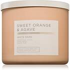 Bath & Body Works Sweet Orange Agave 411g