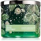 Bath & Body Works Winter Pear Forest 411g