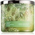 Bath & Body Works White Eucalyptus Sage 411g