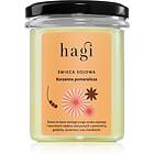 hagi Spicy Orange 215g