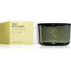 Max Benjamin Lemongrass & Ginger doftljus 560g