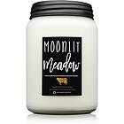 Milkhouse Candle Co. Farmhouse Moonlit Meadow doftljus Mason Jar 737g