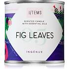 I/TEMS Artist Collection 05 Fig Leaves 100g