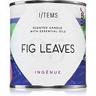 I/TEMS Artist Collection 05 Fig Leaves 200g