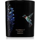 Vila Hermanos Jungletopia Hummingbird 200g