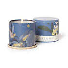 Illume Citrus Crush Demi Vanity Tin