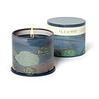 Illume Hidden Lake Vanity Tin